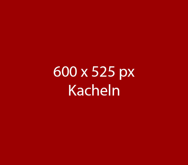 Mehr Informationen zum Thema: Betriebliche Untersuchungen 
